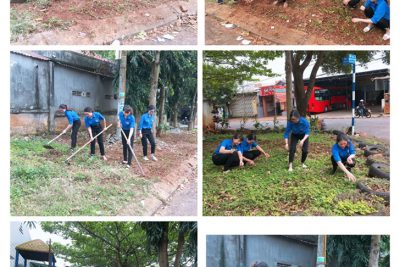 Đoàn TN Trường MG Bình Minh ra quân dọn vệ sinh làm cỏ trồng cây ở đường hoa thanh niên. Lập thành tích chào mừng ngày nhà giáo VN 20/11/2019